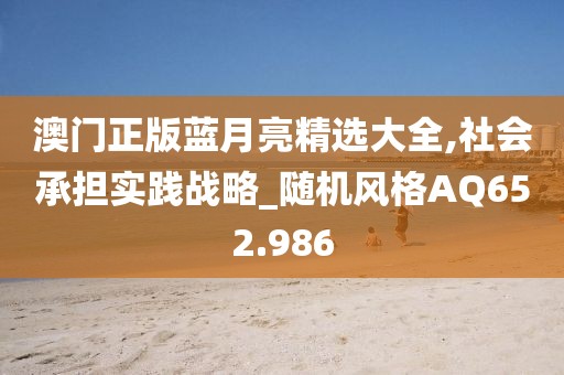 澳门正版蓝月亮精选大全,社会承担实践战略_随机风格AQ652.986