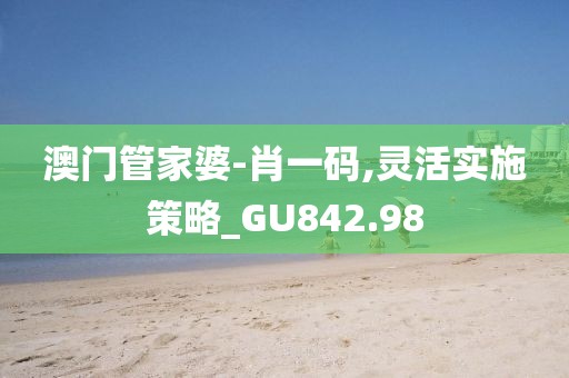 澳门管家婆-肖一码,灵活实施策略_GU842.98