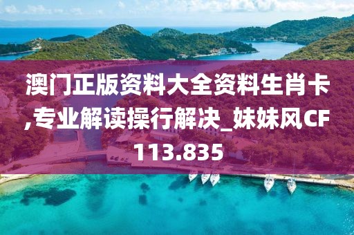 澳门正版资料大全资料生肖卡,专业解读操行解决_妹妹风CF113.835