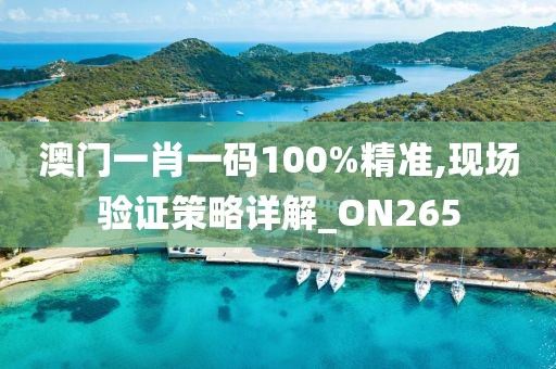 澳门一肖一码100%精准,现场验证策略详解_ON265