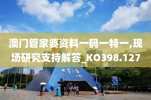 澳门管家婆资料一码一特一,现场研究支持解答_KO398.127