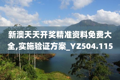 新澳天天开奖精准资料免费大全,实施验证方案_YZ504.115