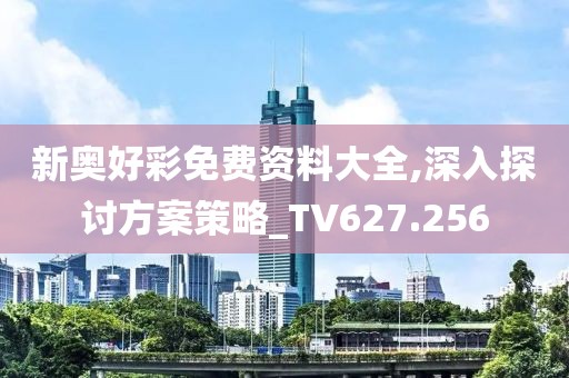 新奥好彩免费资料大全,深入探讨方案策略_TV627.256
