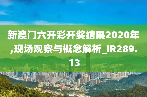 新澳门六开彩开奖结果2020年,现场观察与概念解析_IR289.13