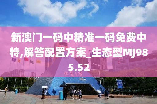 新澳门一码中精准一码免费中特,解答配置方案_生态型MJ985.52