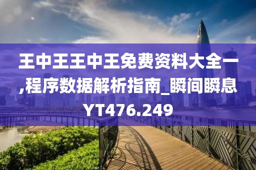 王中王王中王免费资料大全一,程序数据解析指南_瞬间瞬息YT476.249