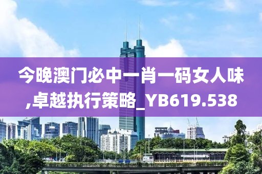 今晚澳门必中一肖一码女人味,卓越执行策略_YB619.538