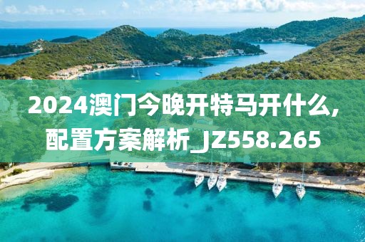 2024澳门今晚开特马开什么,配置方案解析_JZ558.265