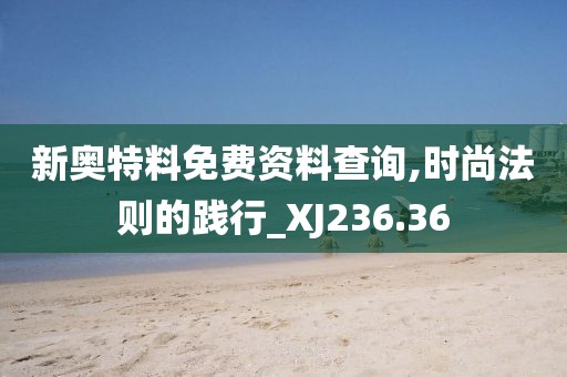 新奥特料免费资料查询,时尚法则的践行_XJ236.36