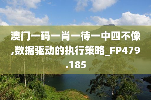 澳门一码一肖一待一中四不像,数据驱动的执行策略_FP479.185