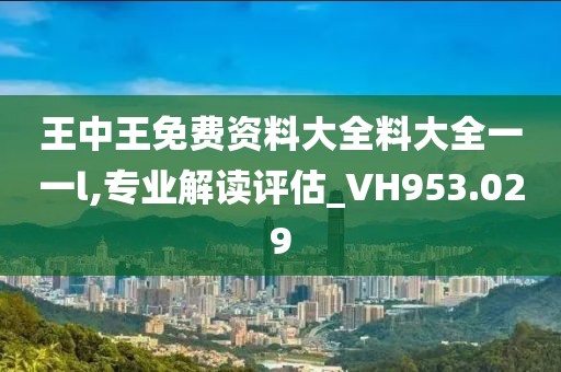 王中王免费资料大全料大全一一l,专业解读评估_VH953.029