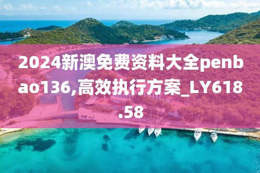 2024新澳免费资料大全penbao136,高效执行方案_LY618.58
