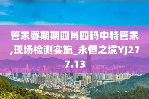 管家婆期期四肖四码中特管家,现场检测实施_永恒之境YJ277.13