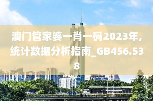 澳门管家婆一肖一码2023年,统计数据分析指南_GB456.538