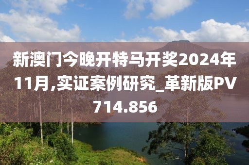 新澳门今晚开特马开奖2024年11月,实证案例研究_革新版PV714.856