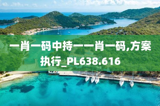一肖一码中持一一肖一码,方案执行_PL638.616