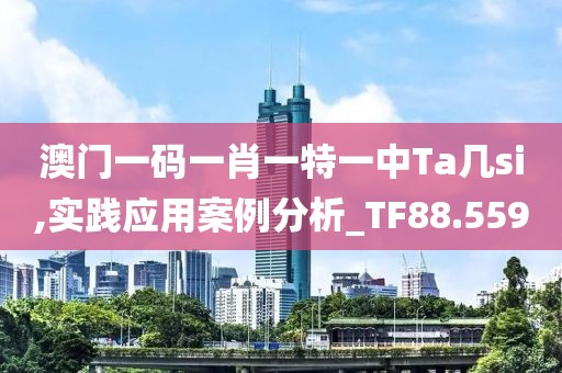 澳门一码一肖一特一中Ta几si,实践应用案例分析_TF88.559