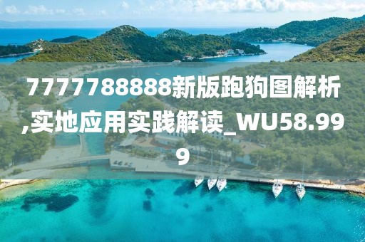 7777788888新版跑狗图解析,实地应用实践解读_WU58.999