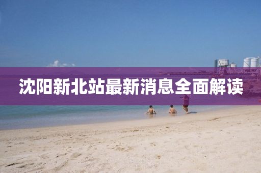 沈阳新北站最新消息全面解读