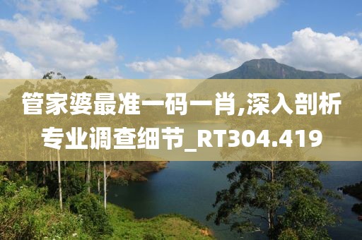 管家婆最准一码一肖,深入剖析专业调查细节_RT304.419
