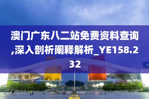 澳门广东八二站免费资料查询,深入剖析阐释解析_YE158.232