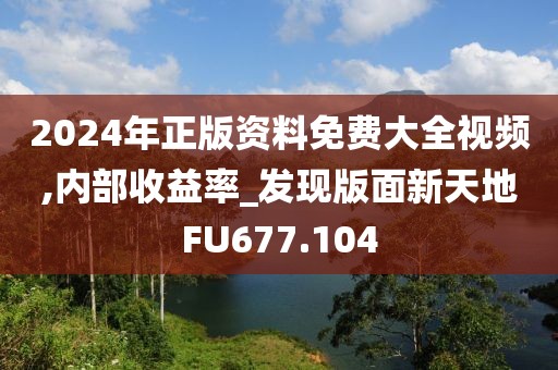 2024年正版资料免费大全视频,内部收益率_发现版面新天地FU677.104