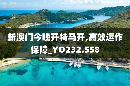 新澳门今晚开特马开,高效运作保障_YO232.558