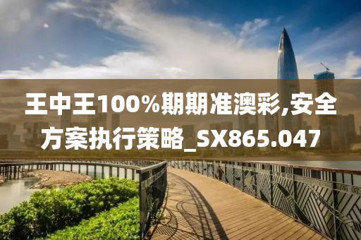 王中王100%期期准澳彩,安全方案执行策略_SX865.047