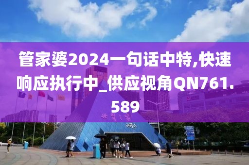 管家婆2024一句话中特,快速响应执行中_供应视角QN761.589