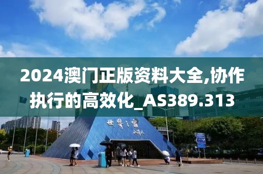 2024澳门正版资料大全,协作执行的高效化_AS389.313