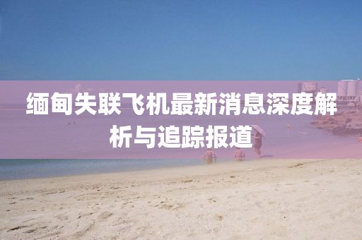 梦有一把锁 第31页