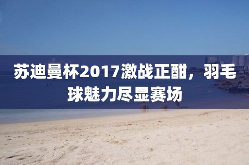 苏迪曼杯2017激战正酣，羽毛球魅力尽显赛场