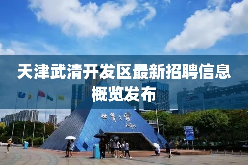 天津武清开发区最新招聘信息概览发布