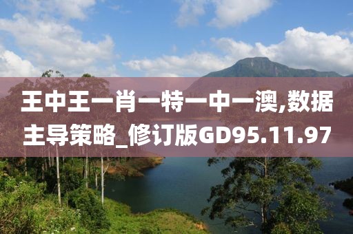 王中王一肖一特一中一澳,数据主导策略_修订版GD95.11.97