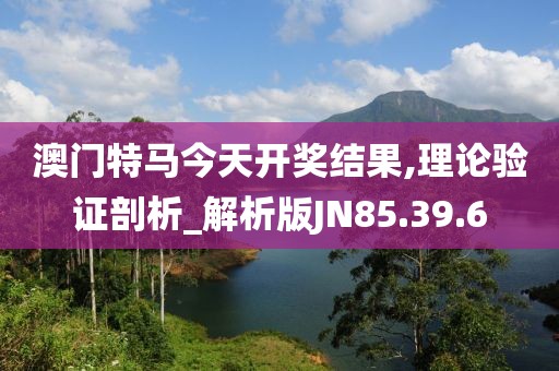 澳门特马今天开奖结果,理论验证剖析_解析版JN85.39.6