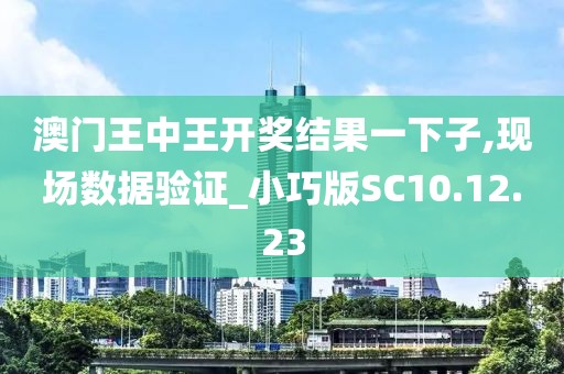 澳门王中王开奖结果一下子,现场数据验证_小巧版SC10.12.23