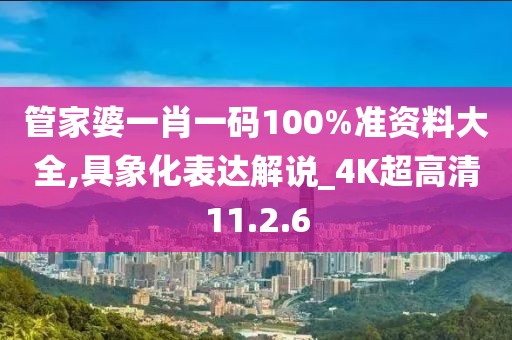 管家婆一肖一码100%准资料大全,具象化表达解说_4K超高清11.2.6