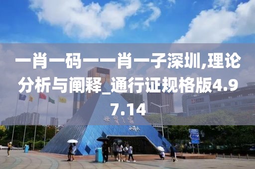 一肖一码一一肖一子深圳,理论分析与阐释_通行证规格版4.97.14