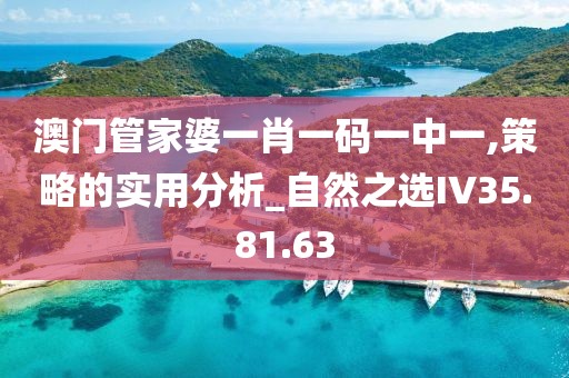 澳门管家婆一肖一码一中一,策略的实用分析_自然之选IV35.81.63