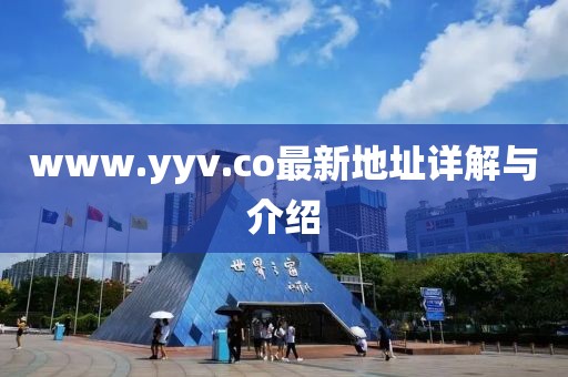 www.yyv.co最新地址详解与介绍