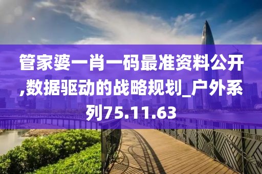 管家婆一肖一码最准资料公开,数据驱动的战略规划_户外系列75.11.63