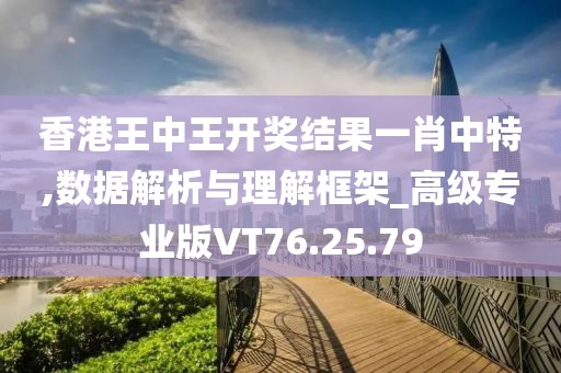 香港王中王开奖结果一肖中特,数据解析与理解框架_高级专业版VT76.25.79