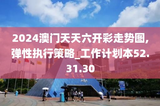 2024澳门天天六开彩走势图,弹性执行策略_工作计划本52.31.30