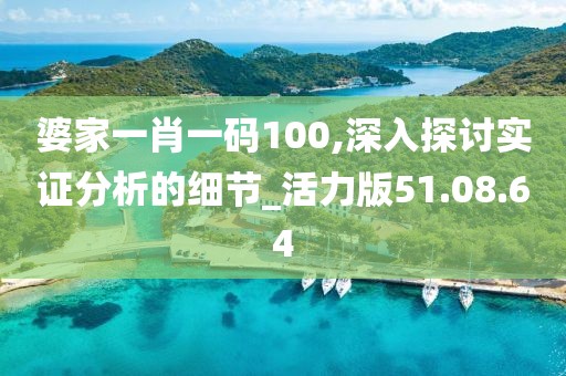 婆家一肖一码100,深入探讨实证分析的细节_活力版51.08.64