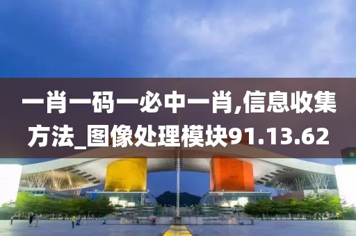 一肖一码一必中一肖,信息收集方法_图像处理模块91.13.62
