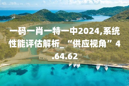 一码一肖一特一中2024,系统性能评估解析_“供应视角”4.64.62