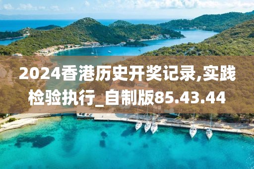 2024香港历史开奖记录,实践检验执行_自制版85.43.44