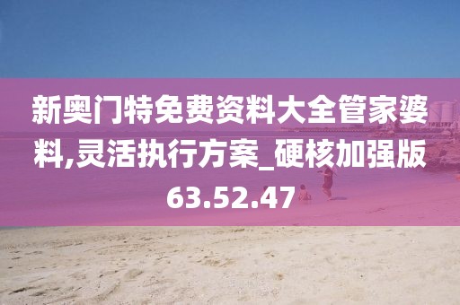 新奥门特免费资料大全管家婆料,灵活执行方案_硬核加强版63.52.47