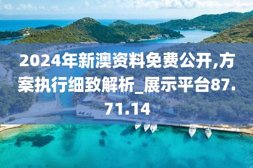 2024年新澳资料免费公开,方案执行细致解析_展示平台87.71.14