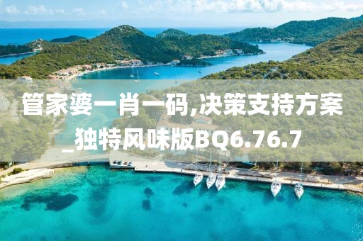 管家婆一肖一码,决策支持方案_独特风味版BQ6.76.7